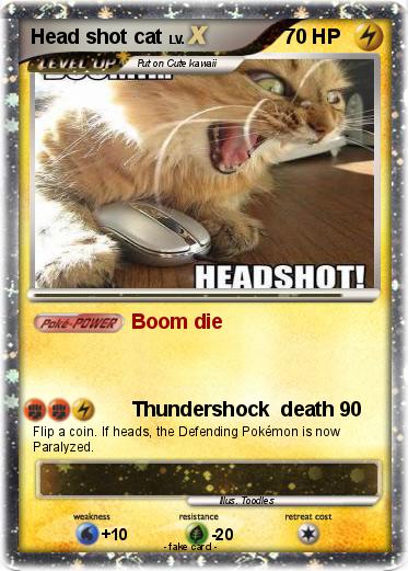 Pokemon Head shot cat