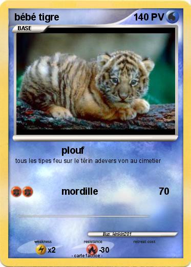 Pokemon bébé tigre