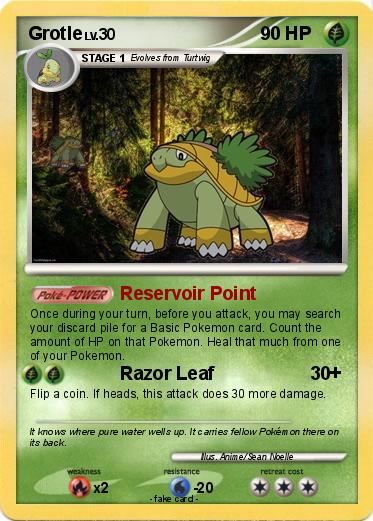 Pokemon Grotle