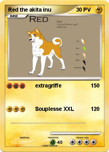 Pokemon Red the akita inu