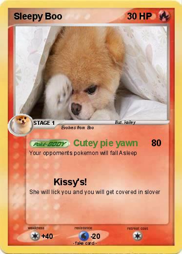 Pokemon Sleepy Boo