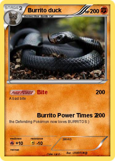 Pokemon Burrito duck