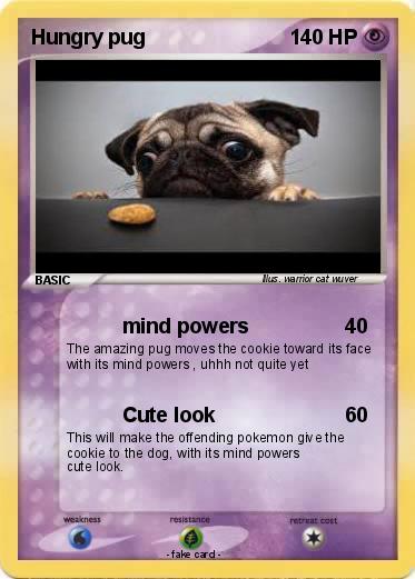 Pokemon Hungry pug