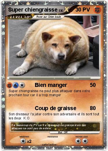 Pokemon Super chiengraisse