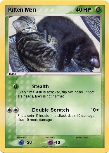 Pokemon Kitten Meri