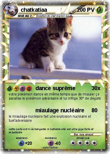 Pokemon chatkatiaa