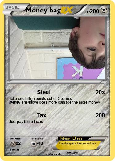 Pokemon Money bag