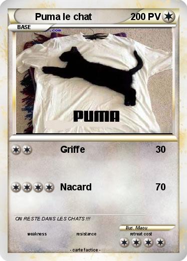 Pokemon Puma le chat