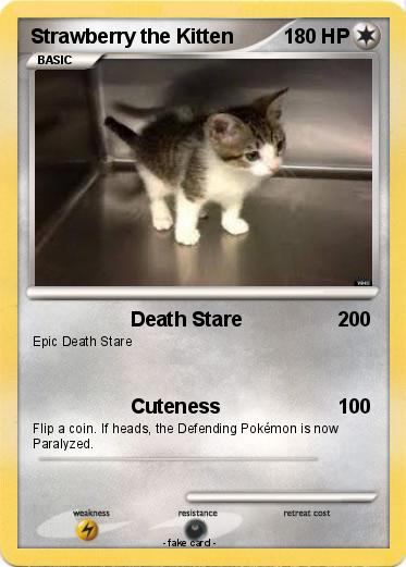 Pokemon Strawberry the Kitten