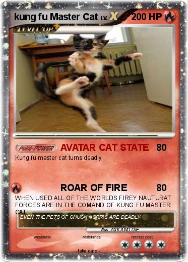Pokemon kung fu Master Cat