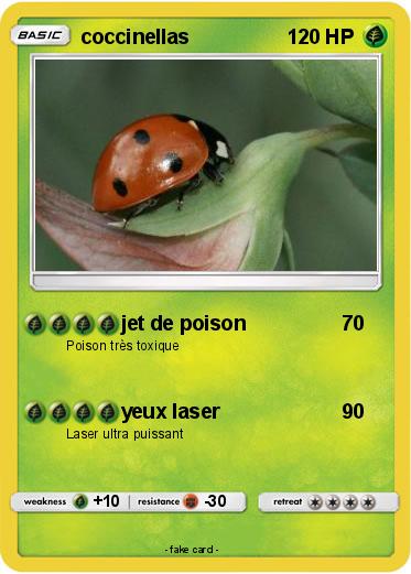 Pokemon coccinellas