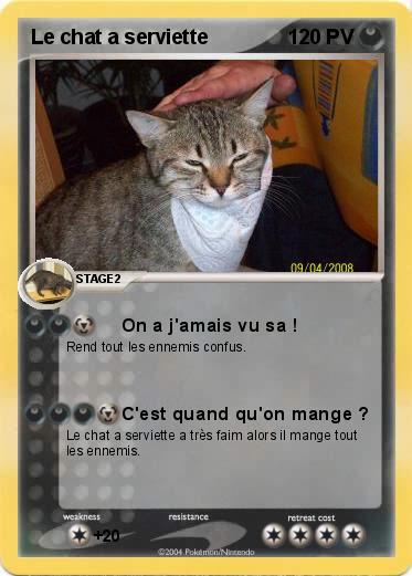 Pokemon Le chat a serviette