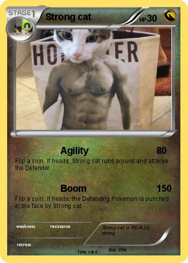 Pokemon Strong cat