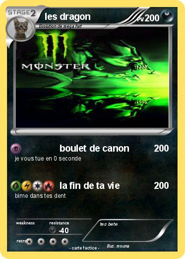 Pokemon les dragon