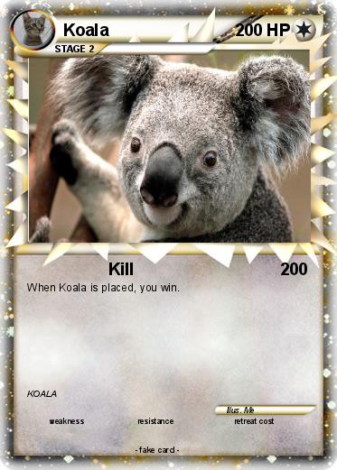 Pokemon Koala