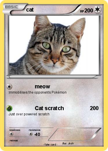 Pokemon cat
