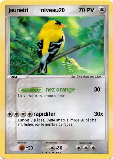 Pokemon jaunetri        niveau20