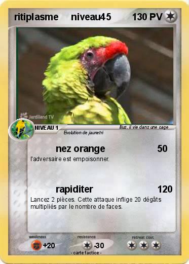 Pokemon ritiplasme     niveau45