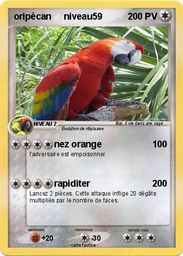 Pokemon oripécan     niveau59