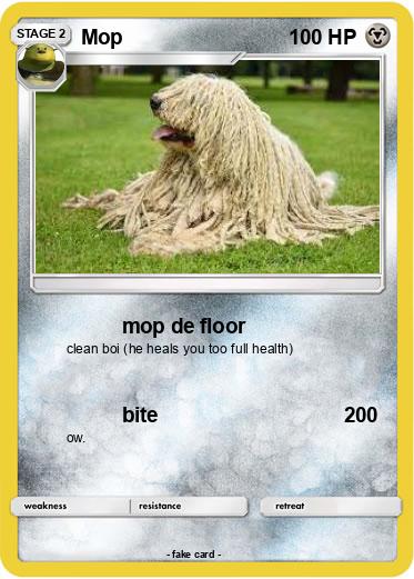 Pokemon Mop