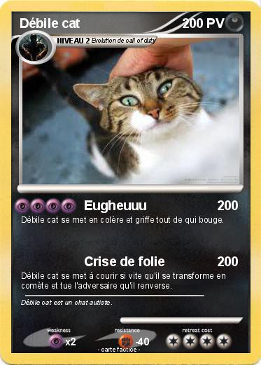 Pokemon Débile cat