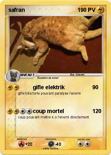 Pokemon safran