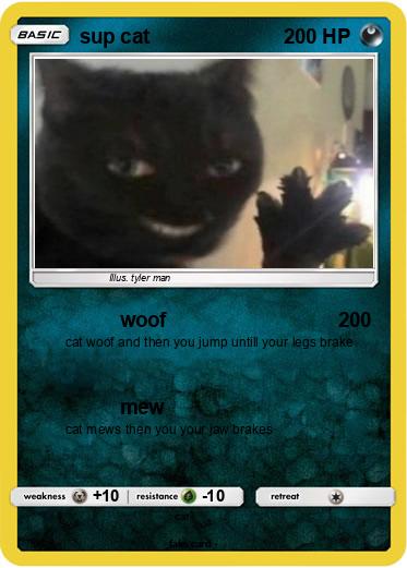 Pokemon sup cat