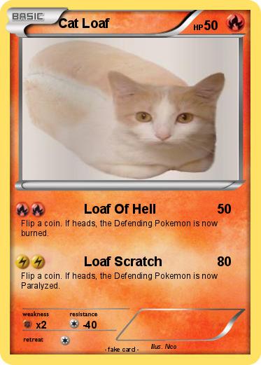 Pokemon Cat Loaf