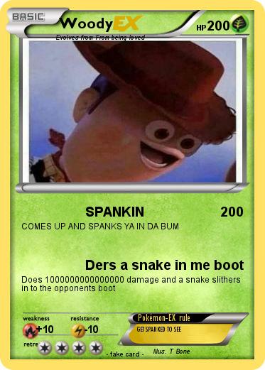 Pokemon Woody