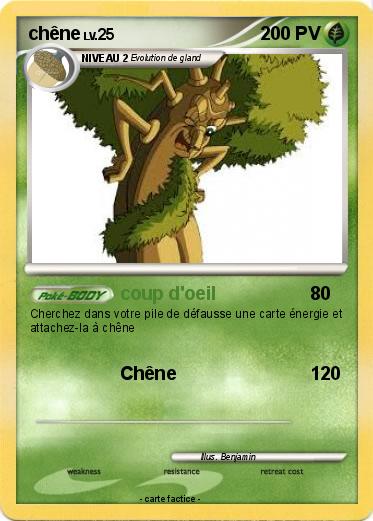 Pokemon chêne