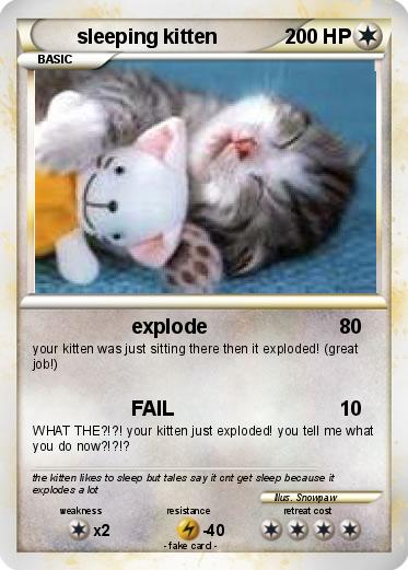 Pokemon sleeping kitten