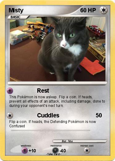Pokemon Misty