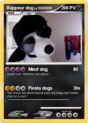 Pokemon Rappeur dog