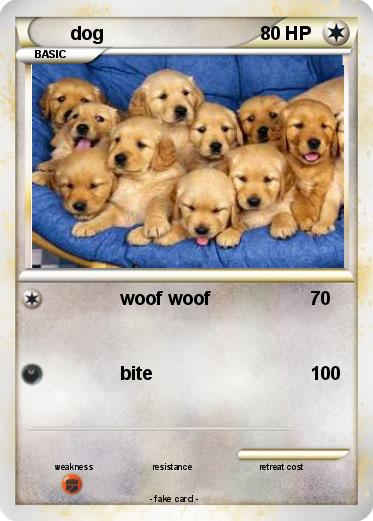 Pokemon dog