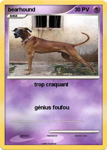Pokemon bearhound