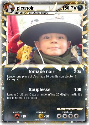 Pokemon picanoir