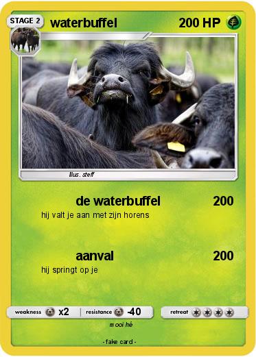 Pokemon waterbuffel
