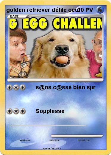 Pokemon golden retriever défile oeuf
