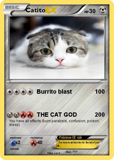Pokemon Catito