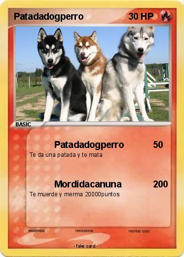 Pokemon Patadadogperro