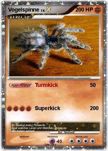 Pokemon Vogelspinne