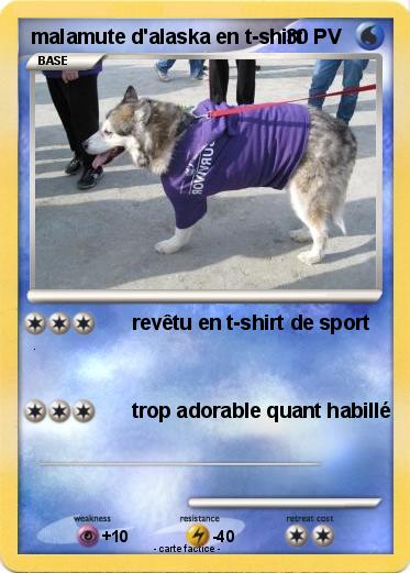 Pokemon malamute d'alaska en t-shirt