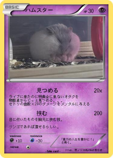 Pokemon ハムスター
