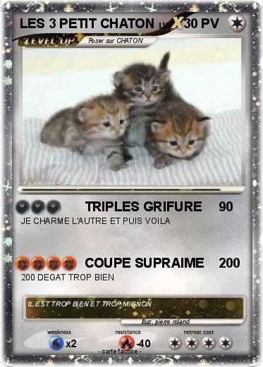 Pokemon LES 3 PETIT CHATON