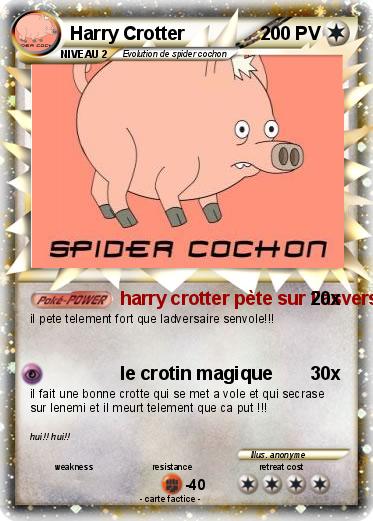 Pokemon Harry Crotter