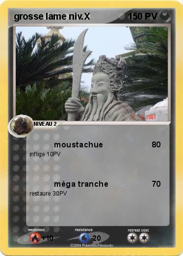 Pokemon grosse lame niv.X