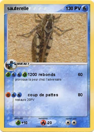 Pokemon sauterelle