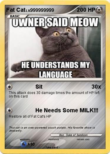 Pokemon Fat Cat