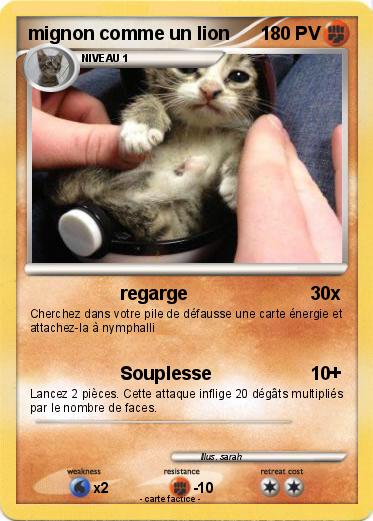 Pokemon mignon comme un lion