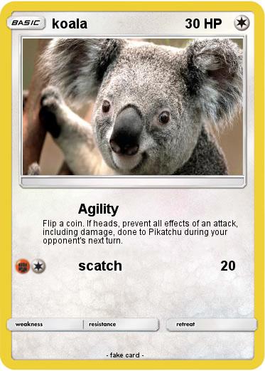 Pokemon koala